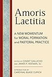 Amoris Laetitia Moral Foundations And Pastoral Practice