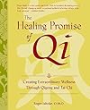The Healing Promise of Qi: Creating Extraordinary Wellness Through Qigong and Tai Chi - Roger Jahnke