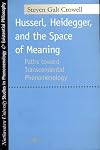 Husserl, Heidegger, and the Space of Meaning: Paths Toward Trancendental Phenomenology