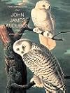 First Impressions: John James Audubon