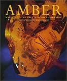 Amber Window To The Past