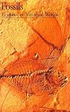 Fossils Evidence Of Vanished Worlds