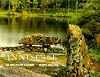 Innisfree: An American Garden