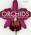 Orchids