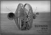 Burning Man: Art in the Desert