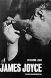 James Joyce : a critical introduction