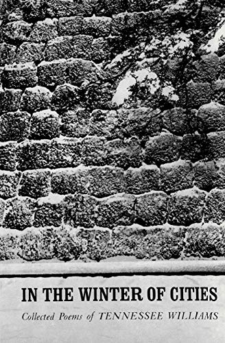 In the Winter of Cities cover