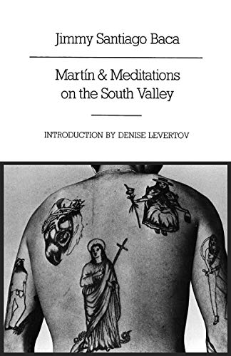Martín & Meditations on the South Valley book cover