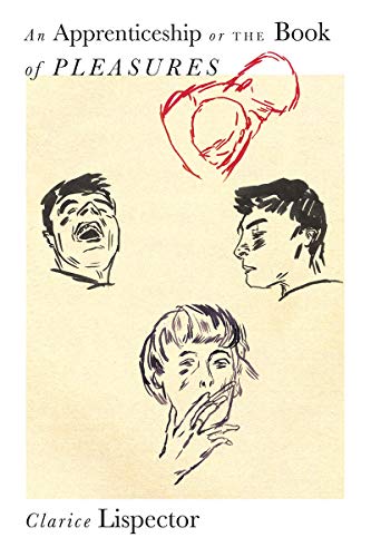 An Apprenticeship, or The Book of Pleasures book cover