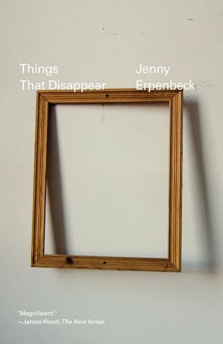Things That Disappear book cover