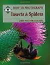 How to Photograph Insects and Spiders (How to Photograph Series)