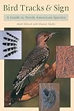 Bird Tracks Sign A Guide To North American Species