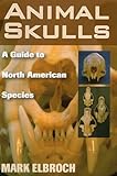 Animal Skulls: A Guide to North American Species