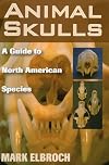 Animal Skulls: A Guide to North American Species