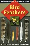 Bird Feathers: A Guide to North American Species