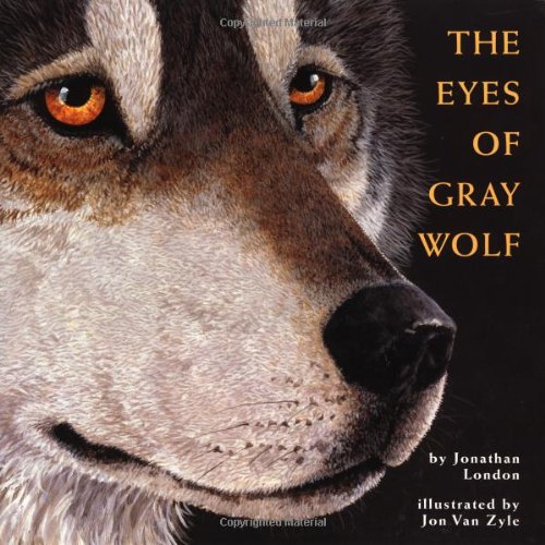 The Eyes of Gray Wolf book cover