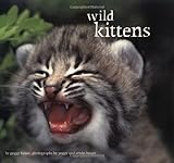 Wild Kittens