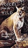 Voices From the Wild