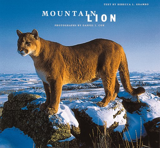 Cover of Mountain lion