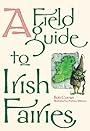 A Field Guide to Irish Fairies - Bob Curran