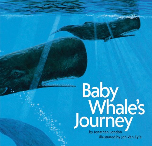 Baby Whale's Journey book cover