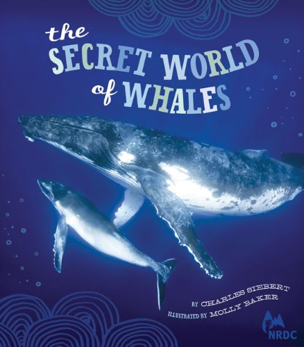 Cover of Secret World of Whales