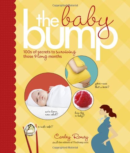 The Baby Bump: 100s of Secrets to Surviving Those 9 Long Months book cover