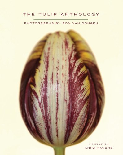 Cover of The tulip anthology