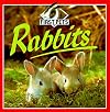 Rabbits (First Pets)