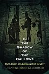 In the Shadow of the Gallows: Race, Crime, and American Civic Identity (Haney Foundation Series)
