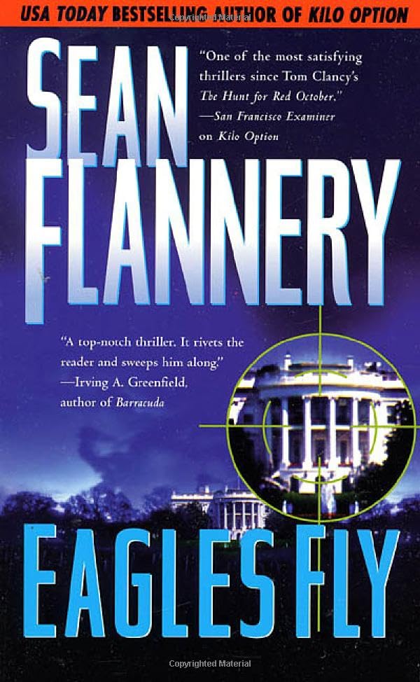 Eagles Fly book cover