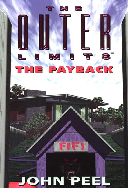 The Payback book cover