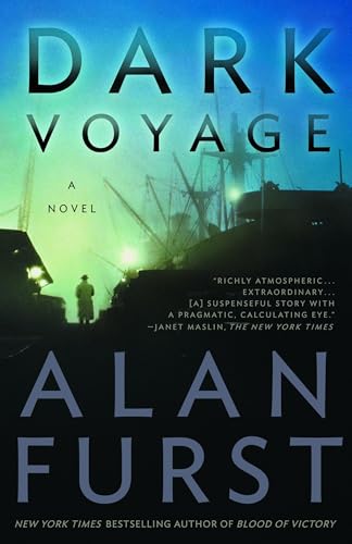 Dark Voyage book cover