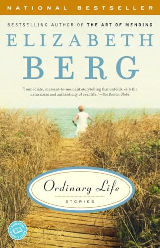 Ordinary Life book cover