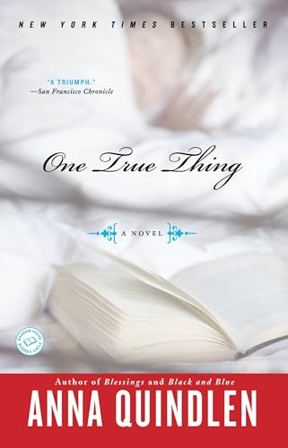 One True Thing book cover