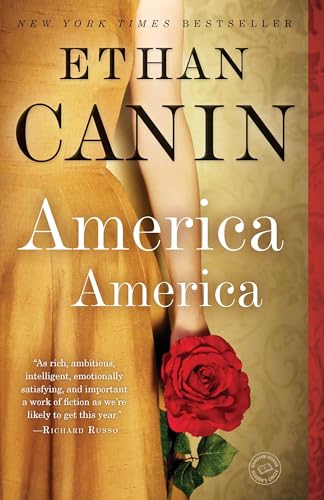 Behind the Beautiful Forevers book cover