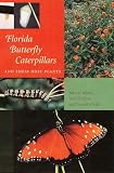 Florida Butterfly Caterpillars And Their Host Plants