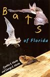 Bats of Florida