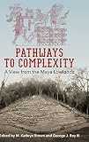 Pathways To Complexity A View From The Maya Lowlands Maya Studies
