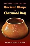 Perspectives On The Ancient Maya Of Chetumal Bay Maya Studies