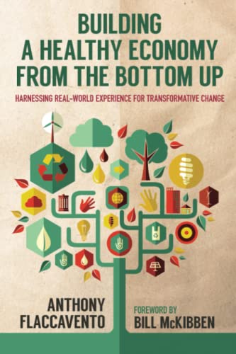 Building a Healthy Economy from the Bottom Up: Harnessing Real-World Experience for Transformative Change (By: Anthony Flaccavento) cover