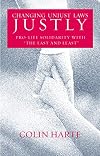 Changing unjust laws justly : pro-life solidarity with "the last and least"