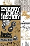 Energy In World History (Essays in World History)