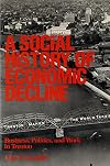 A Social History of Economic Decline: Business, Politics, and Work in Trenton