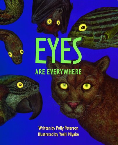 Cover of Eyes Are Everywhere