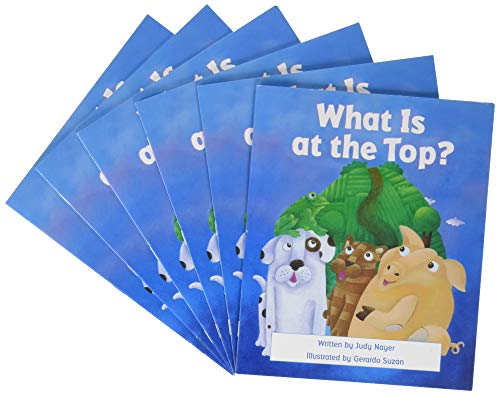 Cover of What Is at the Top?