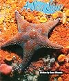 A Sea Star (Celebration Press Ready Readers)