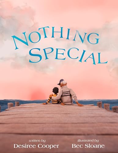 Nothing Special book cover