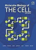 Molecular Biology Of The Cell