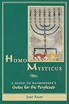 Homo Mysticus: A Guide to Maimonides's Guide for the Perplexed